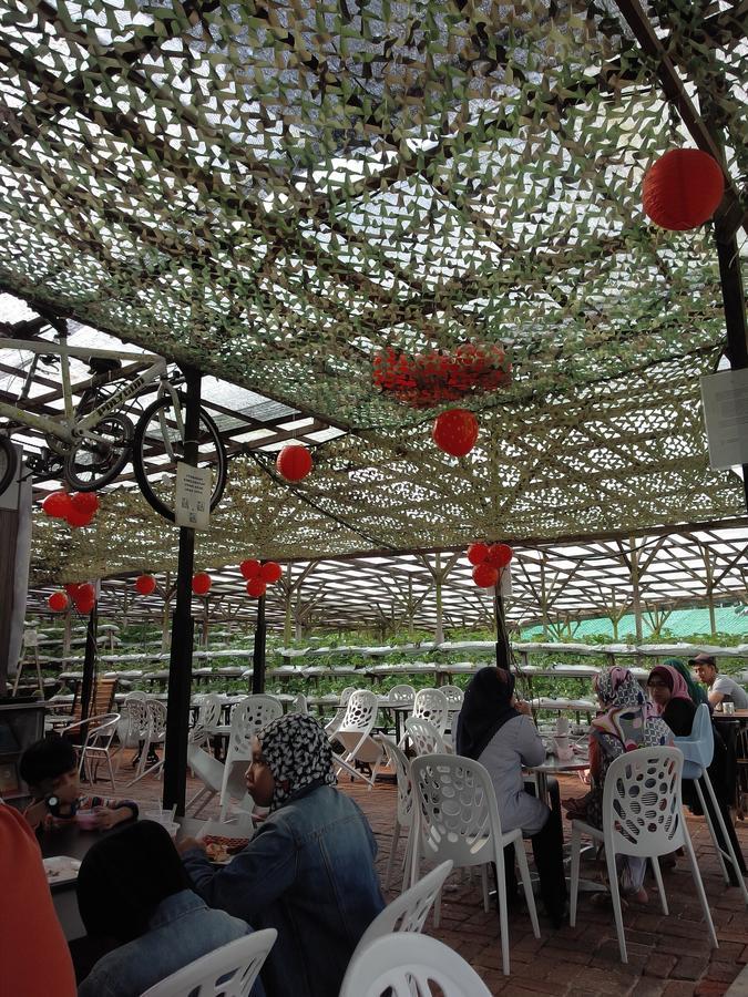 Azizi&Yati Muslim Homestay Cameron Highlands Luaran gambar