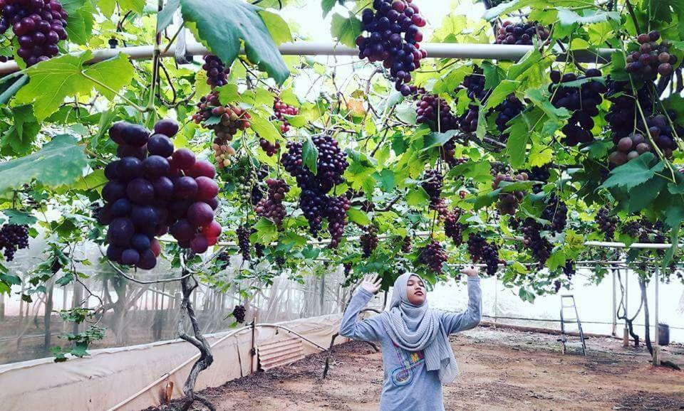 Azizi&Yati Muslim Homestay Cameron Highlands Luaran gambar